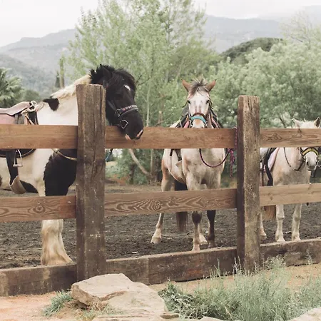 Insolite Glamping Tipi 그리모