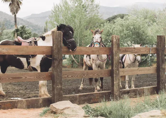 Insolite Glamping Tipi 그리모