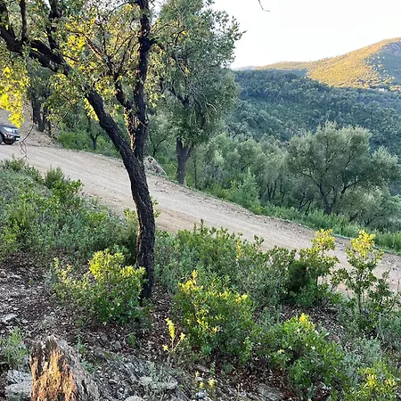 Insolite Glamping Tipi Οργανωμένο κάμπινγκ *