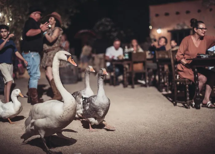 Insolite Glamping Tipi Роскошный шатер Гримо